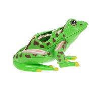 Gatuida Detachable Frog Anatomy Model Puzzle for Stem Education Biology Class Science for Students and Teachers Realistic Animal Dissection Kit