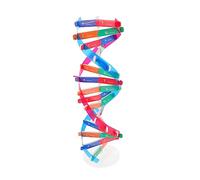Gatuida Double Helix Dna Model Educational for Classroom Teaching Interactive Human Dna Learning Kit Self Assembly Science Project for Students Hands Biology Teaching Tool