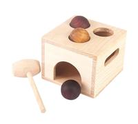 Gatuida Educational Wooden Ball Drop for Cognitive Knock Balls Playset for Hand Eye Coordination Fine Motor Skills and Spatial Awareness Development