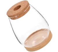 Gatuida Glass Hydroponic Plant Vase with Bamboo Stand, Flower Holder for Home and Office, Creative and Natural Style Terrarium Jar for Displaying Plants and Flowers