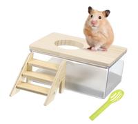 Gatuida Hamster Sand Bath Kit with Transparent Box and Wooden Ladder Small Animal Sandbox for Gerbils Chinchillas and Dwarf Pets Safe Design for Home Veterinary Use