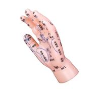 Gatuida Hand Acupuncture Display Model and Reflexology Training Hand Model with Markings for Tcm Education and Massage Practice for Therapy and Learning