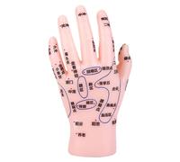 Gatuida Hand Reflexology Model for Acupuncture Training PVC Hand Display Educational Tool for Tcm Schools Clinics and Massage Centers
