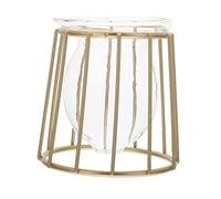 Gatuida Hydroponic Glass Vase with Wrought Iron Rack Elegant Green Plant Container for Home Decor and Office for Tulips and Freesia Durable and Stylish Desktop Ornament