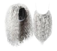 Gatuida Long Gray Wizard Wig Beard Set Cosplay Costume Accessory for Halloween and Parties Comfortable Mesh Liner Realistic Look for Costume Events and Photography