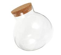 Gatuida Miniature Landscape Ecological Bottles Small Glass Terrarium for Bottle Display Closed Terrarium Jar for Micro Plant Jar Air Plants