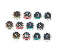 Gatuida Monthly Stickers for Baby Newborn Milestone Stickers Creative Baby Photo Prop for Pregnant Women Present