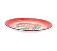 Gatuida Multi-Function Enamel Food Dish 12 Inch Retro Style Vegetable Plate Suitable for Cafe and Household