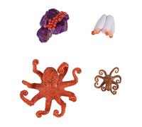 Gatuida Octopus Growth Cycle Animal Model for Educational Evolution Simulation Realistic Science Cognition Figure Parent Interaction and Imaginative Learning Aid