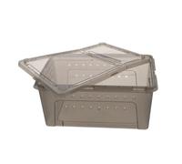 Gatuida Plastic Reptile Box Terrarium for Gecko Enclosure and Bearded Dragon Hide Reptile Supply As Pet Breeding Box Feeder for Tarantula Spider Enclosure