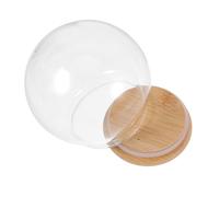 Gatuida Preserved Flower Glass Dome Cloche with 15cm Globe and Bamboo Base, Decorative Display Case for DIY Crafts, Tabletop Floral Showcase and Dustproof Keepsake
