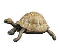 Gatuida Realistic Plastic Tortoise Model PVC Desktop Decoration Educational Turtle Figurine for Animal Identification Gift