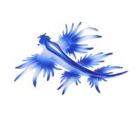 Gatuida Realistic Simulation Sea Slug Model Lifelike Sea Slug Figurine Educational Animal Ornament for Ocean Creatures Enthusiasts and Playtime Activities