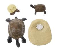 Gatuida Realistic Tortoise Growth Cycle Models for Educational Animal Evolution Figurines Fine Craftsmanship Cognitive to Stimulate Imagination and Nature Learning