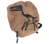 Gatuida Resin Dinosaur Skeleton Model for Home Decoration and Teaching Sample, Realistic Dinosaur Sculpture for Office, Study Room, or Learning Collection