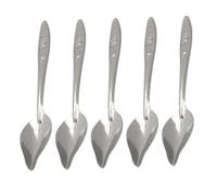 Gatuida Stainless Steel Parrot Feeding Spoon Multi-function 6pcs Silver
