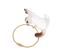 Gatuida Transparent Pet Hair Storage Bottle Keychain for Cats and Dogs Portable Lightweight Keepsake Container with Clear Viewing Window Handmade Memorial Whisker Collection Pendant for