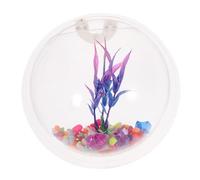 Gatuida Transparent Wall Mounted Acrylic Fish Bowl Space Saving Hanging Aquarium Tank for Tropical Fish and Plants Clear Decor for Home Wall Display Random Color
