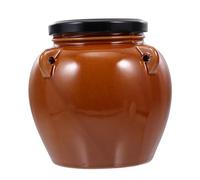 Gatuida Useful Ceramic Sealed Jar Large Capacity Food Ceramic Canister with Practical Fine Workmanship for Pickle Lovers for Home and Restaurant Storage