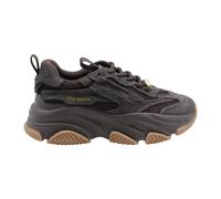 Gatz - female - Steve Madden - Sneakers - Brown - 3 UK - Shoes 3 UK