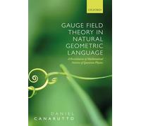 Gauge Field Theory in Natural Geometric Language: A revisitation of mathematical notions of quantum physics
