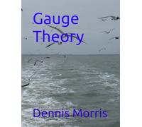 Gauge Theory