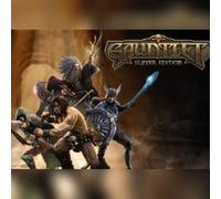 Gauntlet Slayer Edition + 12 (PC) Steam Key - GLOBAL