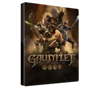 Gauntlet Slayer Edition | 4 Pack (PC) - Steam Key - GLOBAL