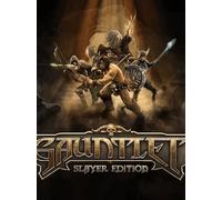 Gauntlet Slayer Edition + Lilith the Necromancer Pack (PC) - Steam Key - GLOBAL