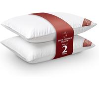 GAVENO CAVAILIA 2 Pack Feather Luxury Pillow Set in White GAVENO CAVAILIA White