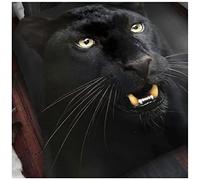 Gaveno Cavailia Super Soft Faux Fur 3D Wildlife BLACK PANTHER Fleece Throw Blanket, 200 x 240 Cm, Polyester, King, Black 12117896