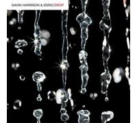 Gavin Harrison & O5Ric - Drop