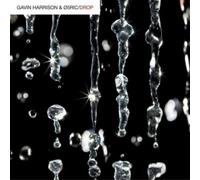 Gavin Harrison & O5Ric - Drop