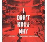 Gavin James - I Don't Know Why (12") [VINYL]