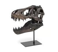Gaxcent Dinosaur Skull Sculptures, 18cm Resin Dinosaur Statues Gift for Living Room, Entryway, Office, Decoration,Brown