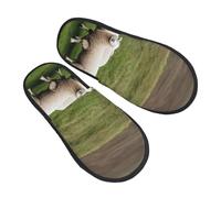 GaxfjRu Lambs and Sheep Plush Winter Slippers for Indoor Use, Soft Warm House Slippers for Guests and Home Comfort Unisex, Black, 5