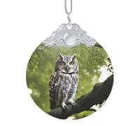 GaxfjRu Owl Tree Branches Xmas Home Decorations Ornaments, Hanging Christmas Tree Gift Pendant For Holiday Cheer