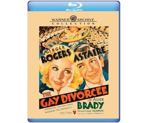 GAY DIVORCEE - blur - N3z