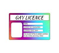Gay Licence, Novelty Gift Card, Funny Stocking Filler, Secret Santa Gift, Novelty Licence, Funny Keepsake Card, Rainbow Card