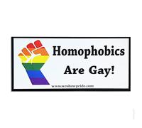 Gay Pride Bumper Stickers Novelty Fun Car Large LGBT LGBTQIA Vinyl Decal Homophobics are Gay