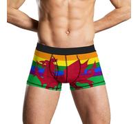 Gay Pride Flag of Wales Mens Underwear Breathable Boxer Briefs Soft Stretch Boxers Trunks