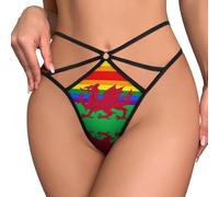 Gay Pride Flag of Wales Printed Women's T-back Thong Panties G-String Novelty No Show Underwear