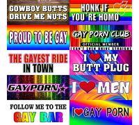 Gay Pride Funny Magnet Bumper Sticker, Rainbow Pride Prank Magnetic Sign for Vehicle Truck Reusable Magnet Sticker for Fridge(10 Styles)