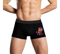 Gay Pride Lion LGBT Rainbow Men's Boxer Brief Underwear Stretch Underpants Sexy Shorts Comfort Sport Trunks 2XL