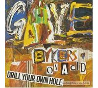 GAYE BYKERS ON ACID - drill your own hole LP