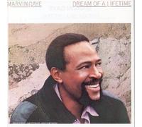 Marvin Gaye - Dream Of A Lifetime