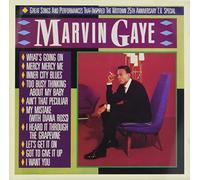 Gaye, Marvin - Great Songs & Performances