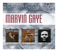 Gaye Marvin - I Heard It Through The Grape Vine/I Want You/Vulnerable Sessions