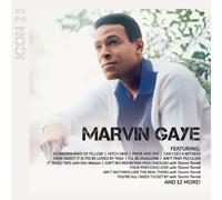 Gaye Marvin - Icon