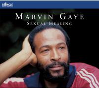 Gaye, Marvin - Sexual Healing